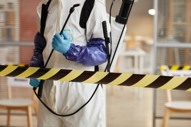 Professional Sewage Cleanup technician working in Inavale, NE
